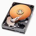 WD Caviar® 250GB